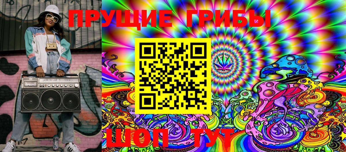 Осинники  Псилоцибиновые грибы прущие грибы  Псилоцибиновые грибы Magic Shrooms  Вход с VPN 