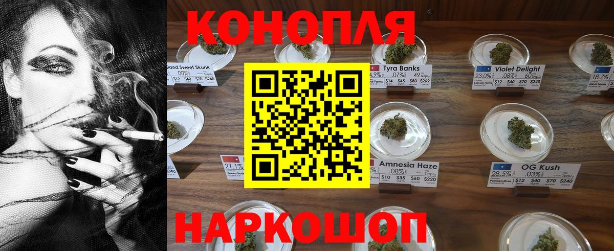 Бошки Шишки MAZAR Осинники